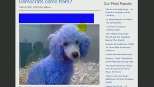 Cores Em Inglês: Como Dizer Azul Em Inglês - Blue In English