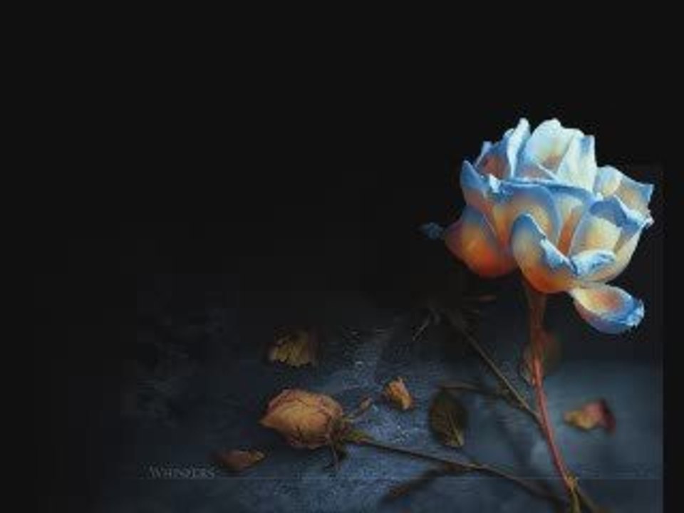 DJ DrakHawk - Midnight Visions 31