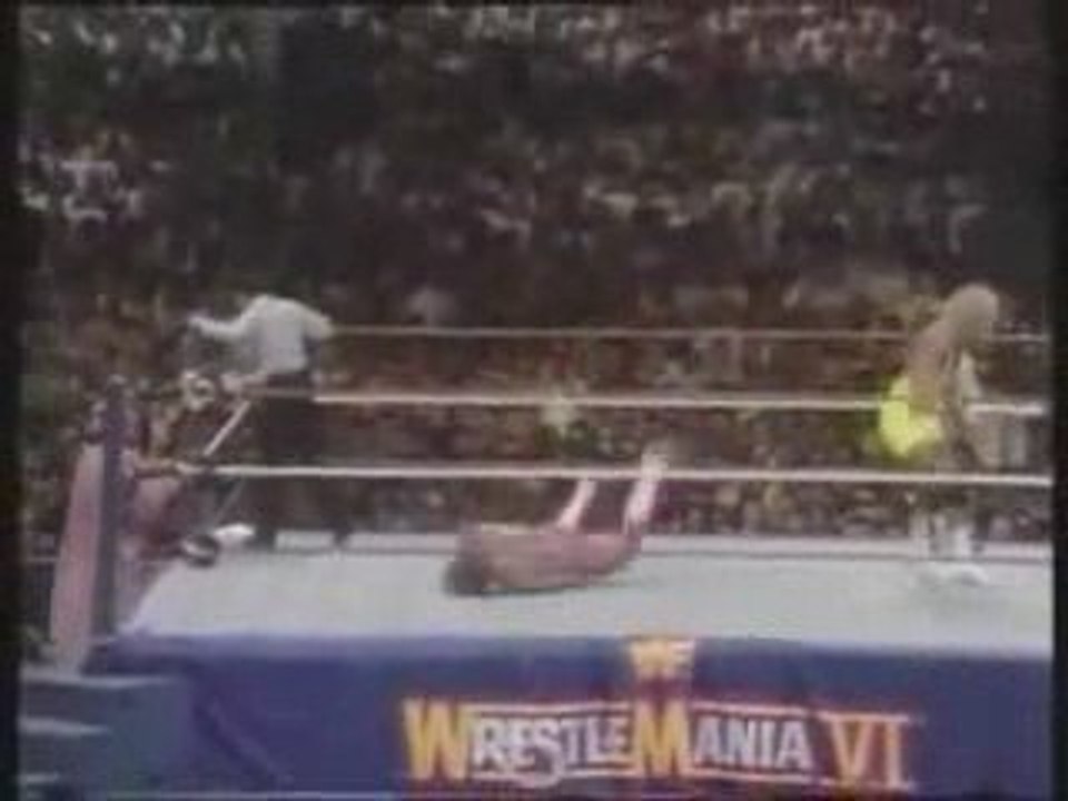 Mr perfect vs Brutus Beefcake