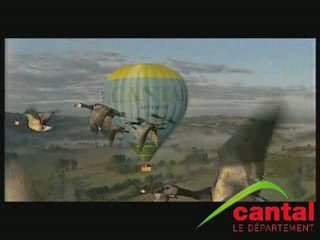 Vol avec les oies (Christian MOULLEC)