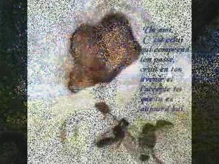 moi et ma meilleure pote