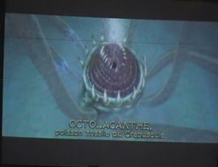 boss rush zelda tp 4:octolanthe