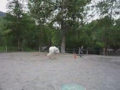 Petit montage des mes activités et spectacles