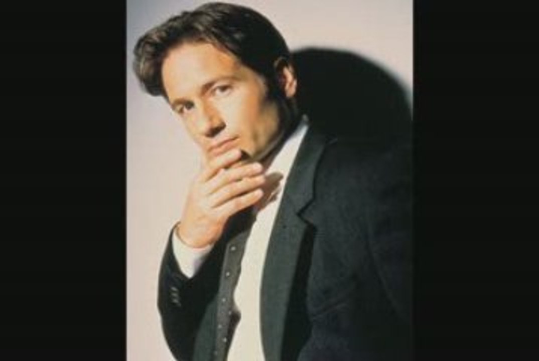 118 LES RENSEIGNEMENTS by dams goom - L'AGENT MULDER