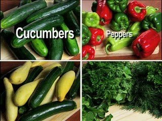 Fred Vanore Topsy Turvy Blue Moon Studios