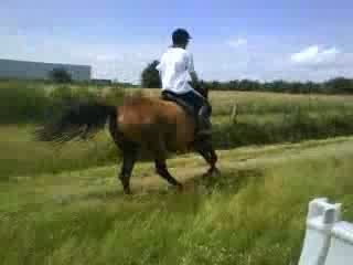 Rikita saut obstacle
