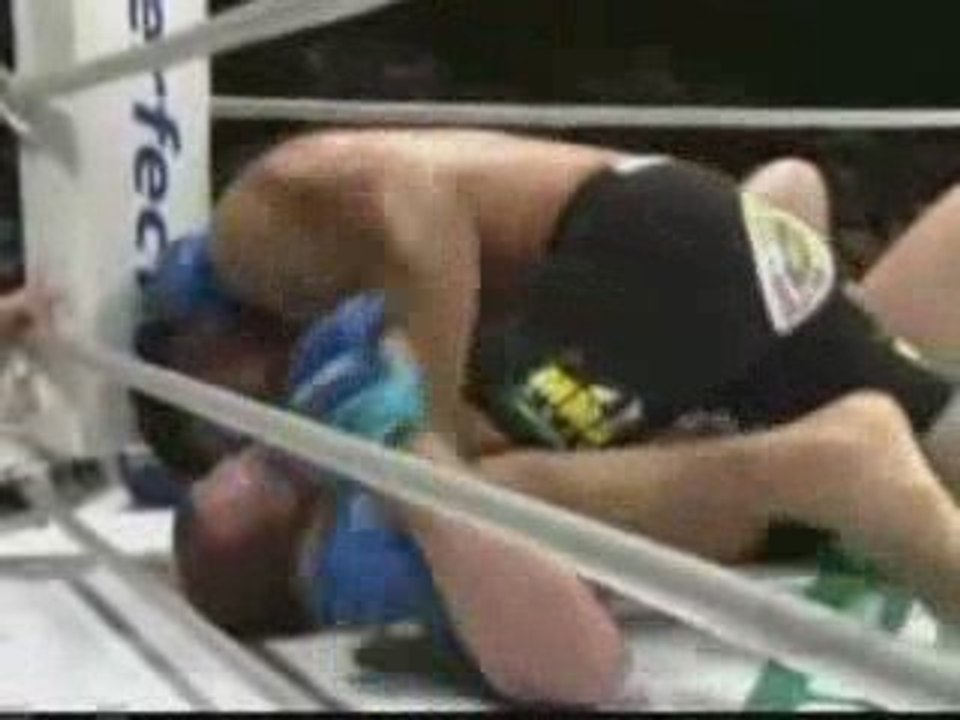 fedor emilanenko vs minautoro