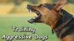 Training Aggressive Dogs-Training Aggressive Dogs Made Easy