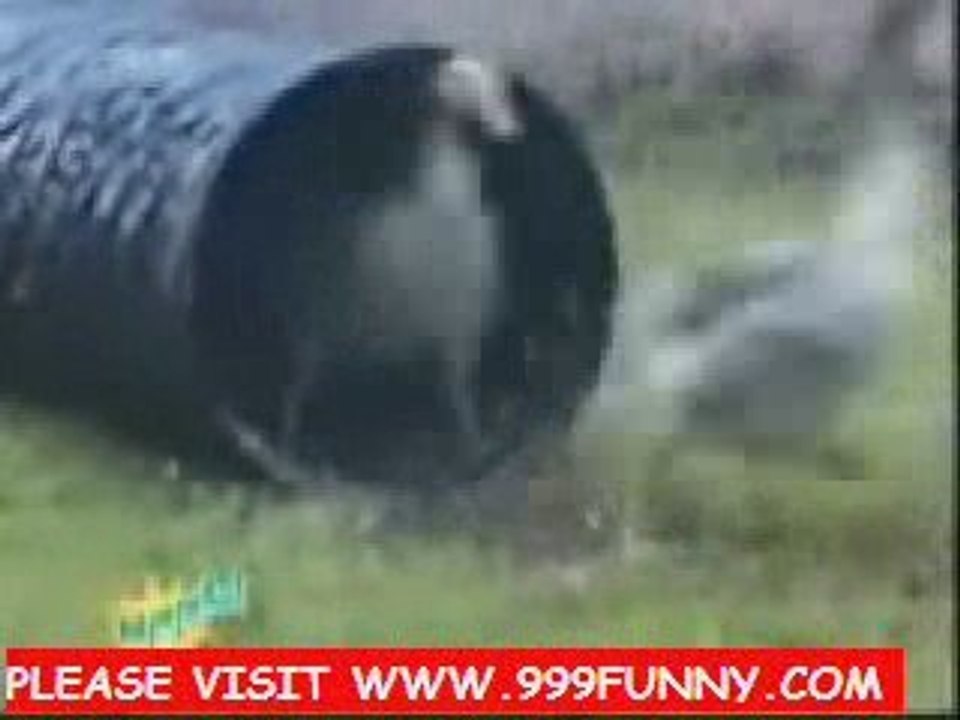 Stupid people making stupid things