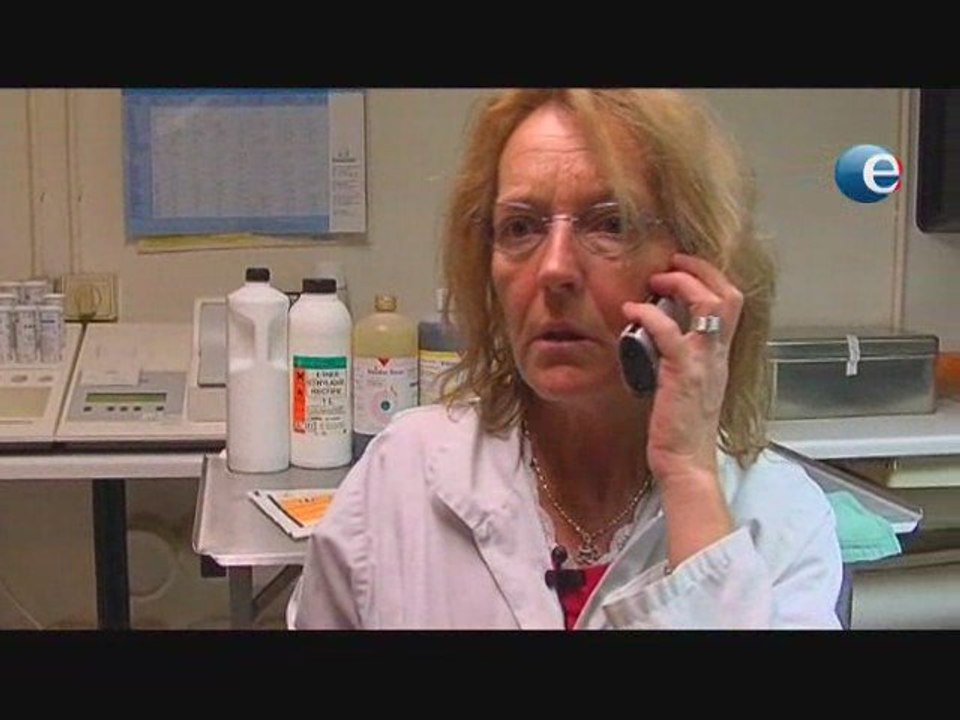 Assistante veterinaire