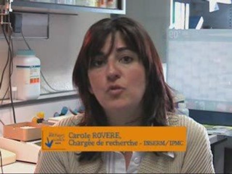 Métiers de la science au CNRS et dans ses UMR - C.Rovere