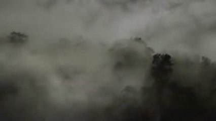 Home [es-MEX] - 4 El agua y los bosques