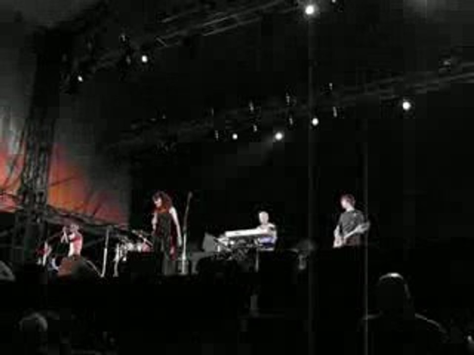 Tricky @ Rock en Seine 2008 - Black Steel