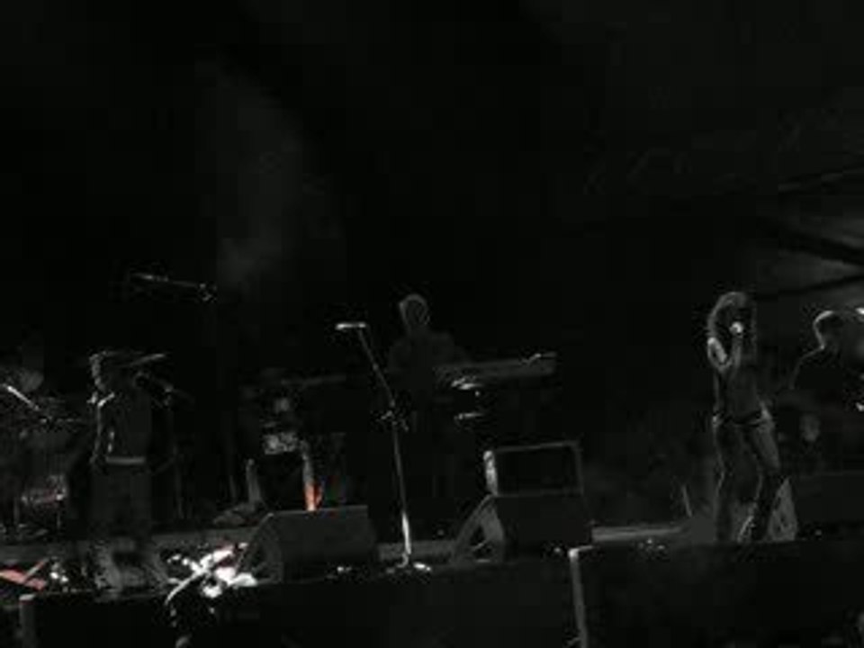 Tricky @ Rock en Seine 2008 - Veronika