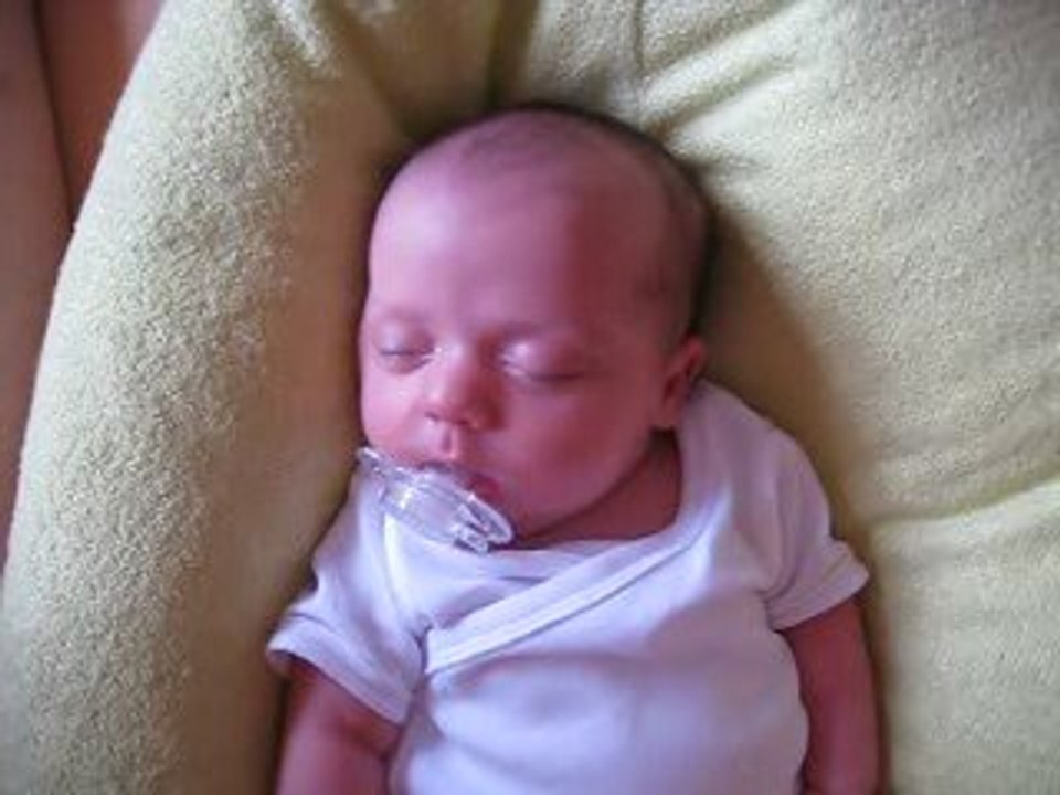 La tute