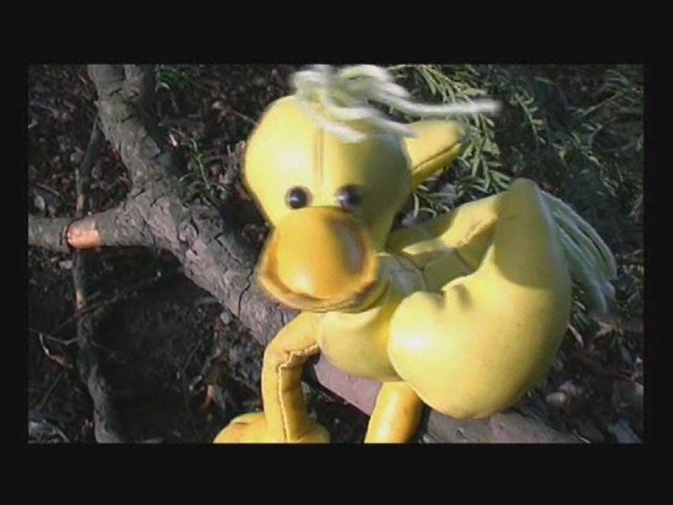 Loisirs Nature de L'Homo Petroleum