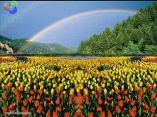 Muhsin Yazıcıoğlu