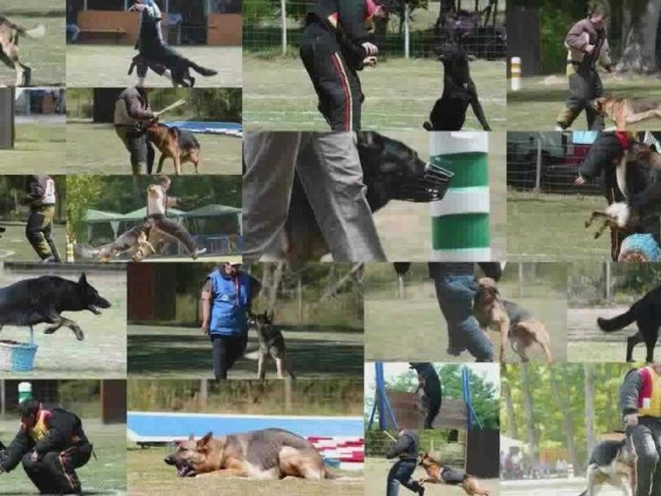 Peujard 2009 - Les échelons 3