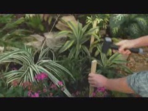 How to Water Your Lawn and Install a Drip Irrigation System