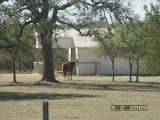 River Mountain Ranch ~ Wimberley Texas