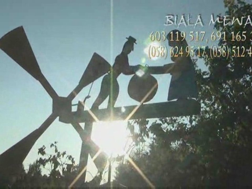 BIAŁA MEWA
