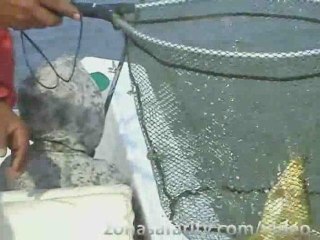 Concurso de Pesca para Periodístas en Paso de la Patria #4