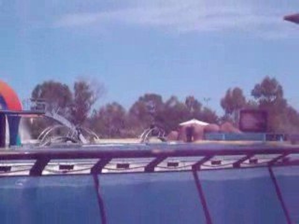 spectacle orques marineland