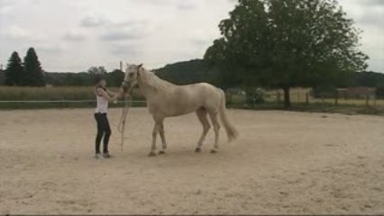 début du reculer et croise papatte