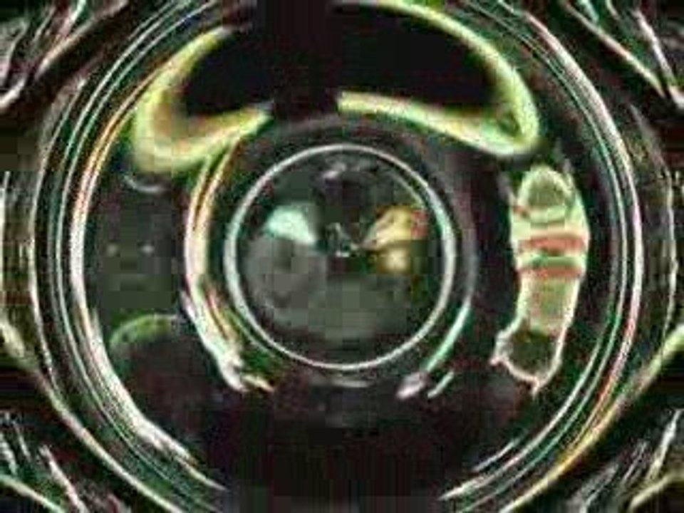 je vais à rio de claude françois par patrice murat