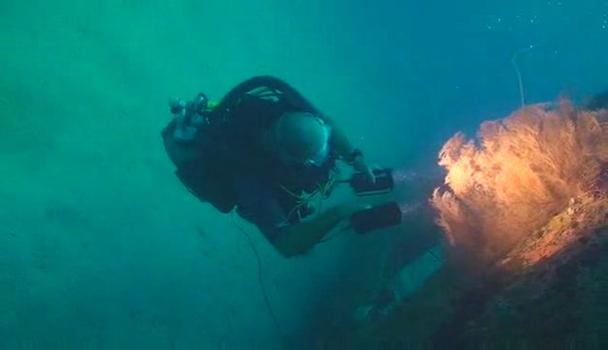 Balade sous-marine ...
