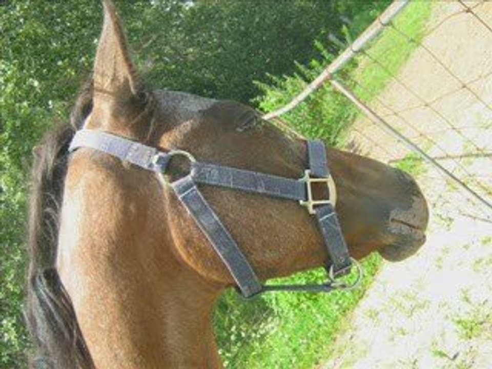 Montage journée moi et Jess