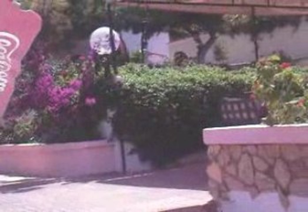 LE PETIT CHALLET A KRYSTEL A ORAN ALGERIE