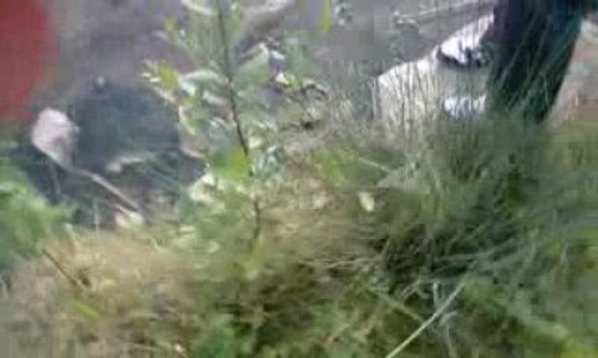 Peche de ouf