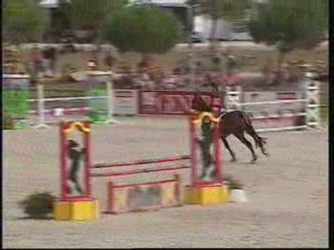 Championnat de France 2009 Club élite