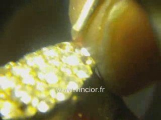 Creation Bijoux or unique et Sertissage Marquise diamants