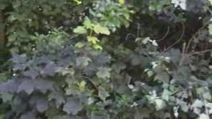 Turton Hall Turton green