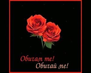 Ne iskam da te zagubq