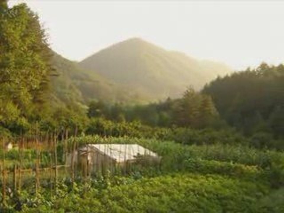 Cide, Pelitovası, Hacıahmet, Emirler, Nanepınarı, Himmetbeşe