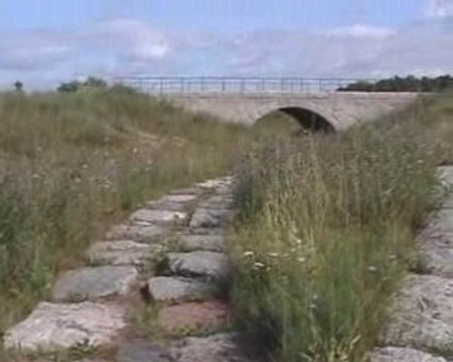 MLM Marketing Leads Mistake I Made…