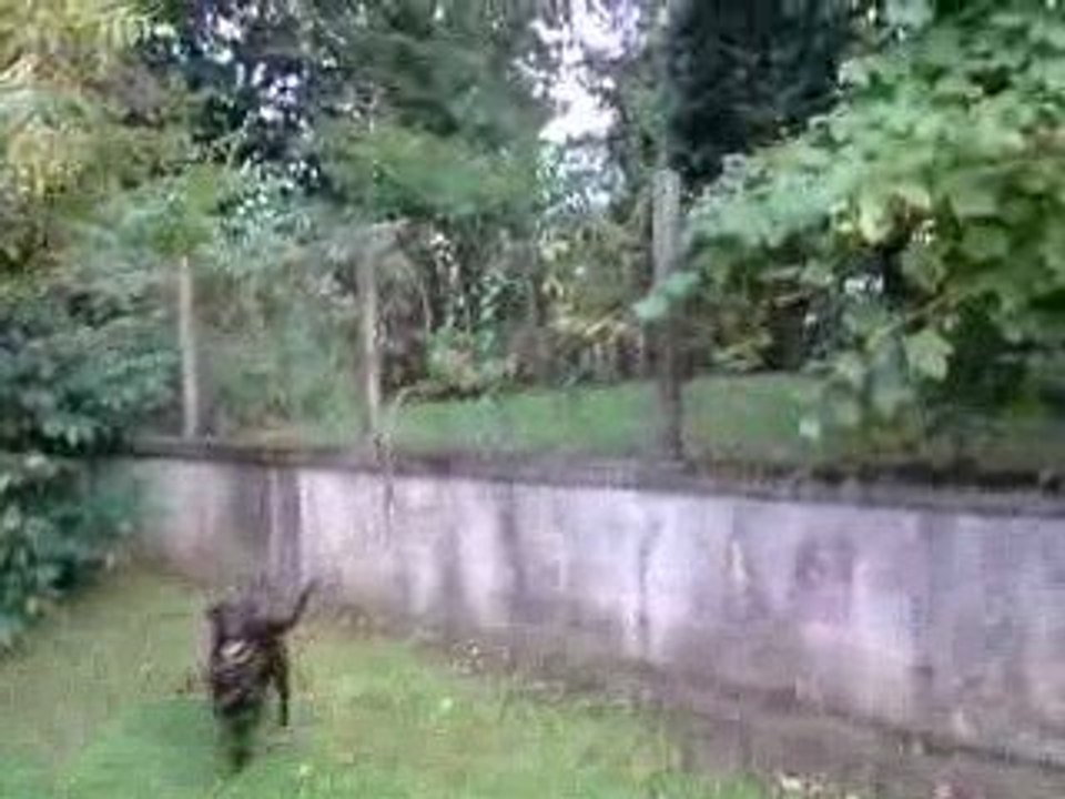 Festival Le Grand Souk 2009 - petit tour d'horizon