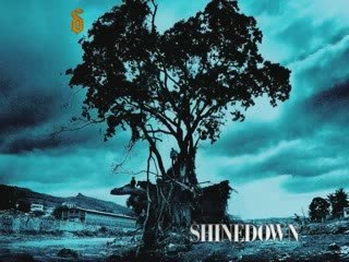 Shinedown *+ Simple man+*