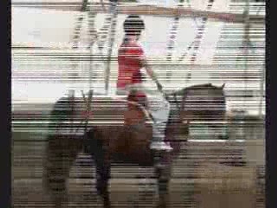 Mon 3e, 7e, 8e et 9e cours d'équitation