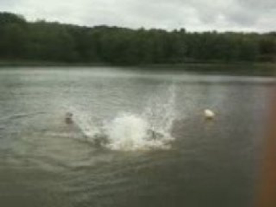 Raphy alias chuky fait un salto