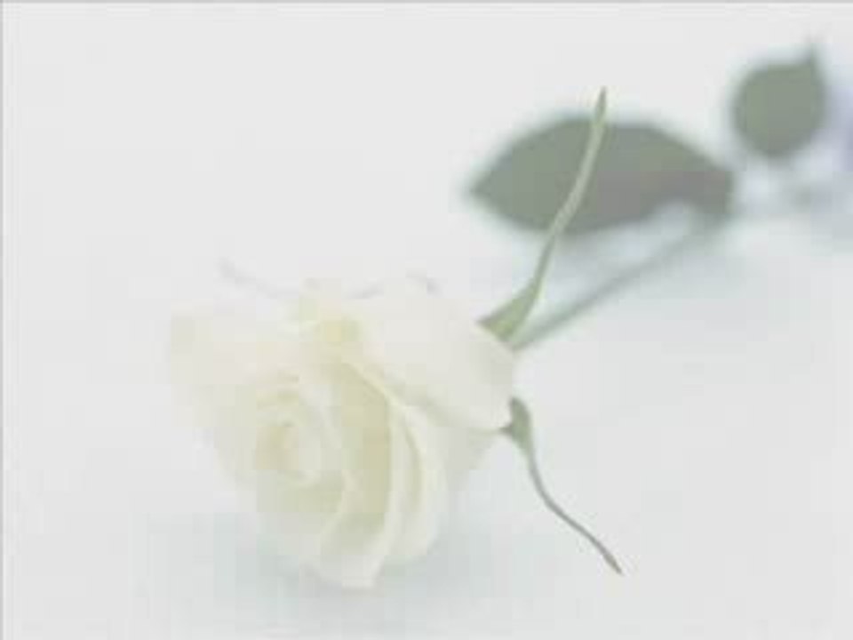 Week-End du 17 au 19 Juillet 2009 - Limoges