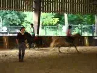 Domitile - Patoche       Albane - Parfaite