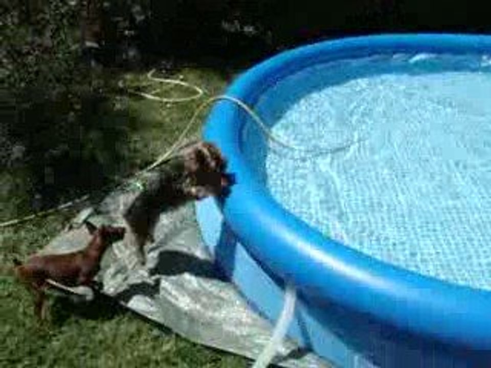 Biki à la piscine