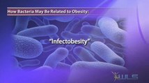 Obesity Could Be Caused By Oral Bacteria