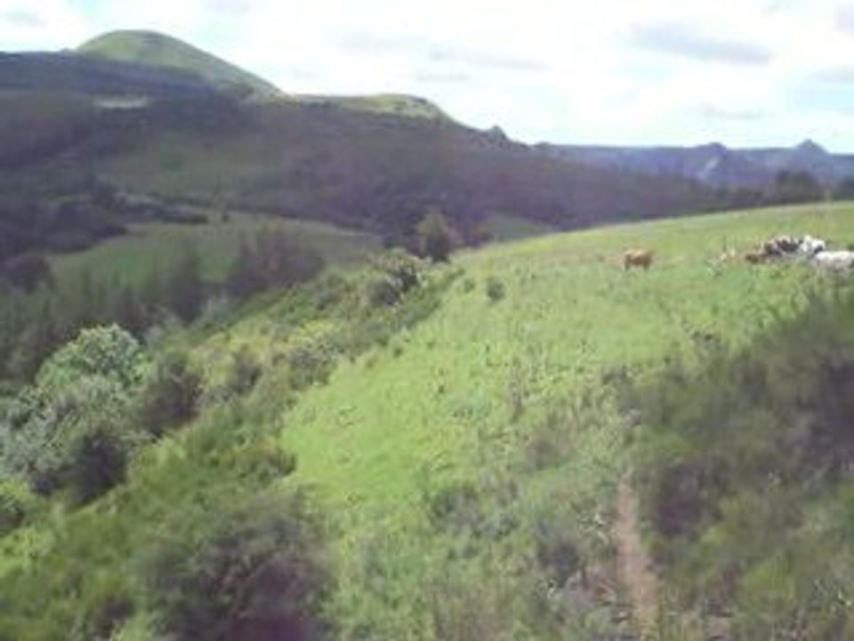 Massif du Sancy: Paysage Serein