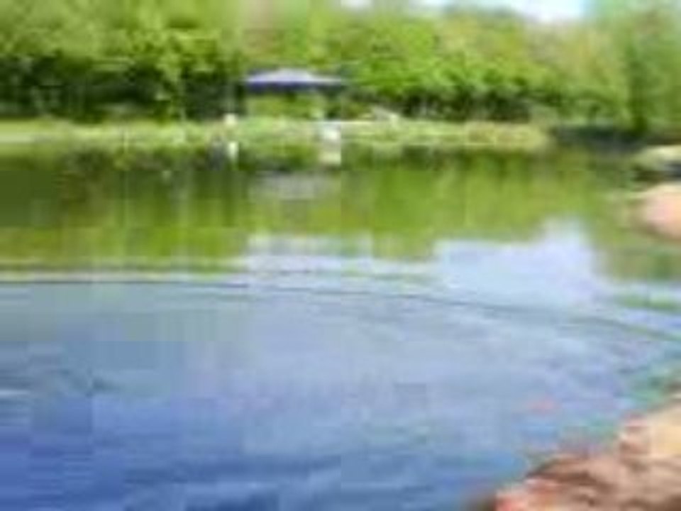 la haie mangeuse d'hommes 3