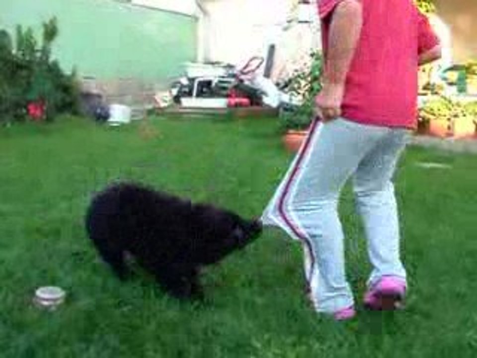 Luca